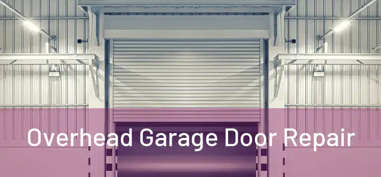 Overhead Garage Door Repair